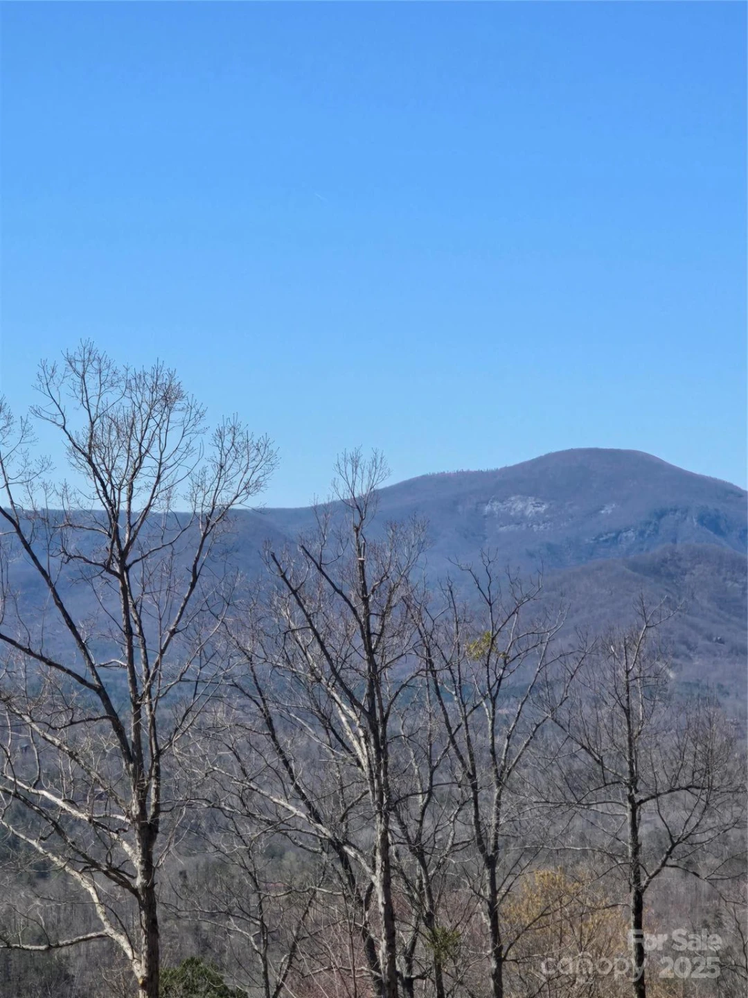 00 Golden Ridge Drive #209 - Photo 12