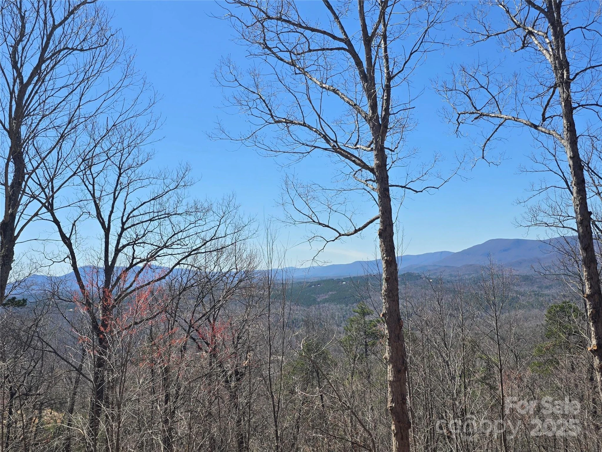 00 Golden Ridge Drive #209 - Photo 6
