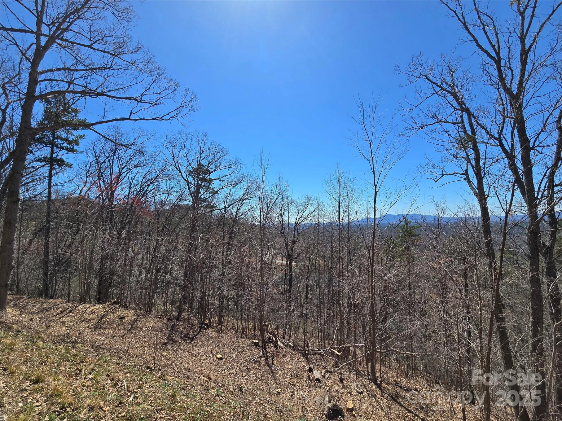 00 Golden Ridge Drive #209 - Photo 10
