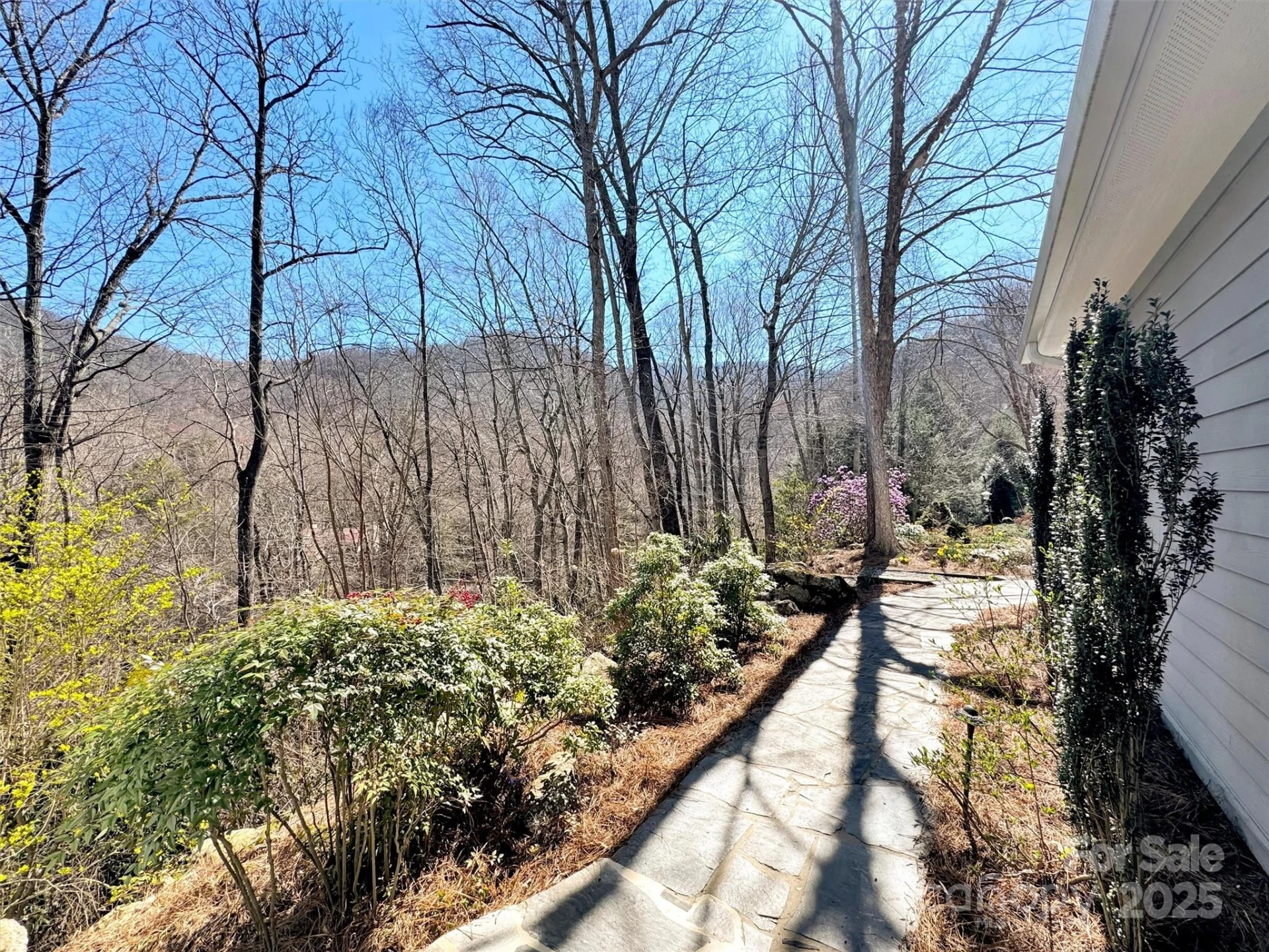 78 Aster Lane - Photo 42