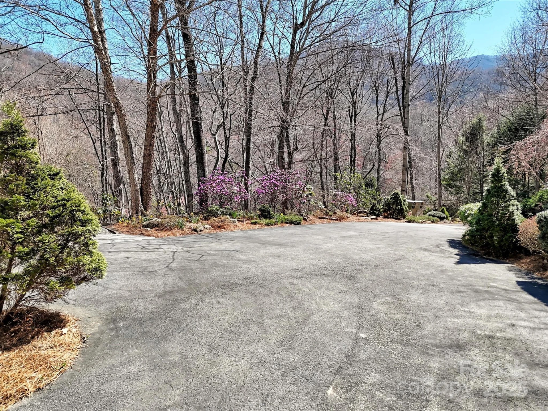 78 Aster Lane - Photo 46