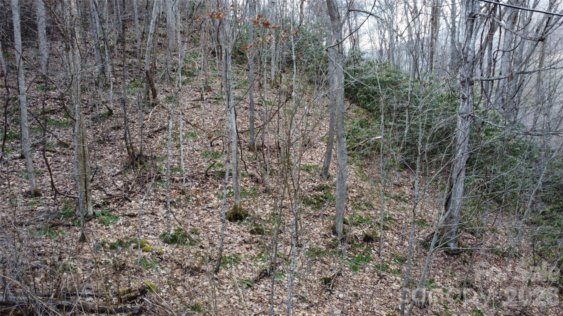 24 Village Lane - Photo 13