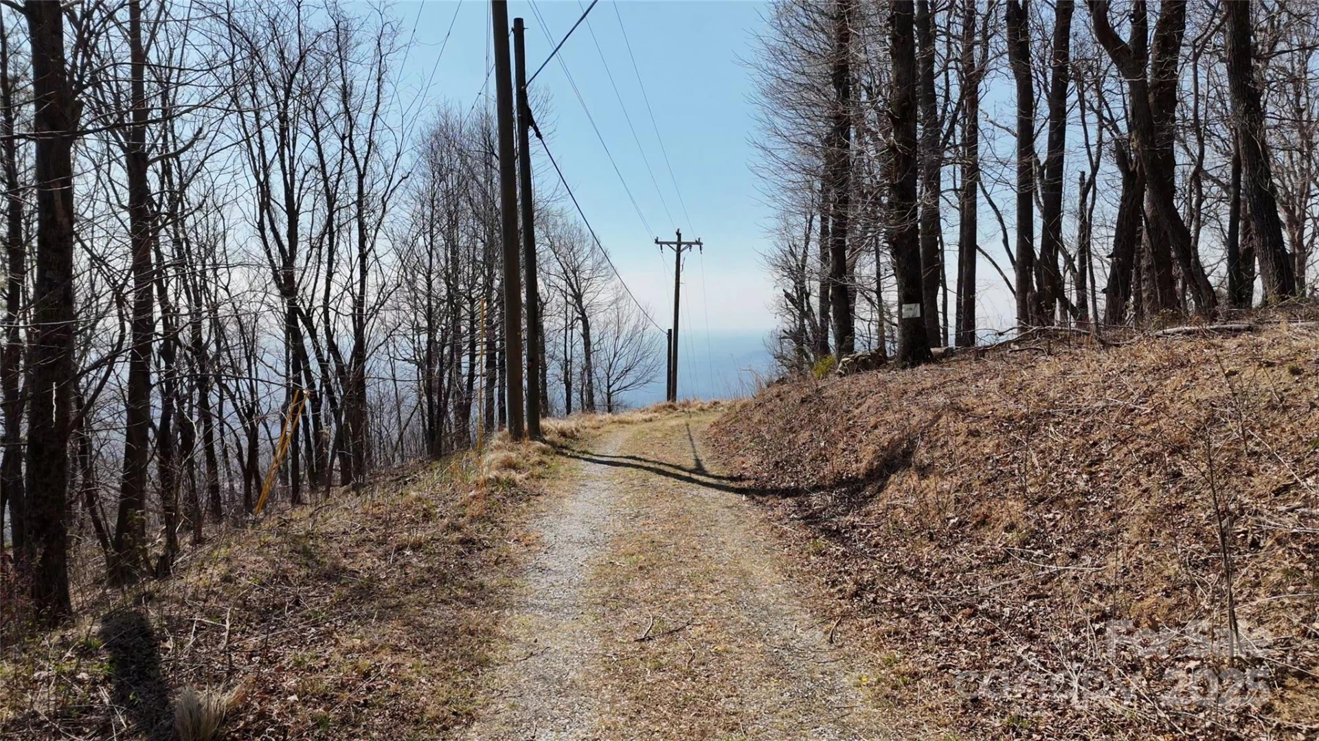 1.1 Acre Blockaders Den Road - Photo 2
