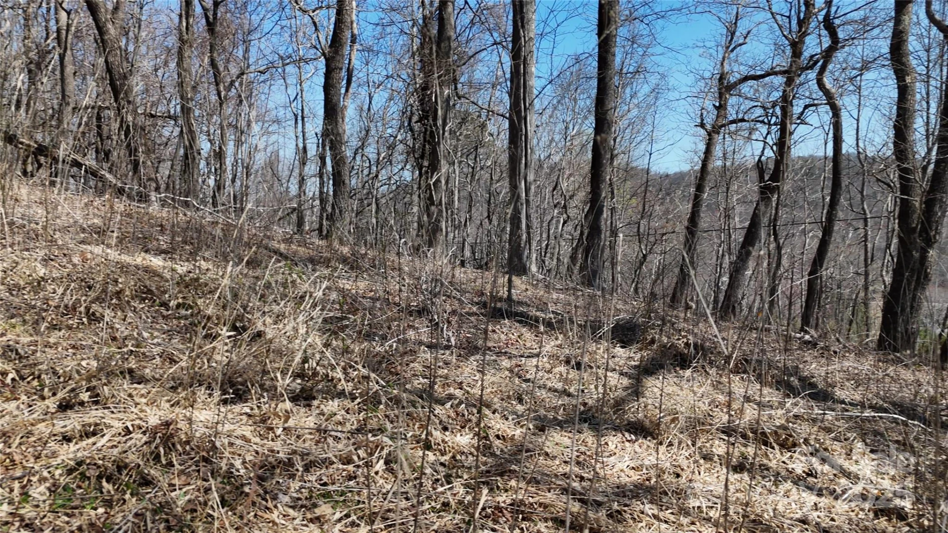 1.1 Acre Blockaders Den Road - Photo 12