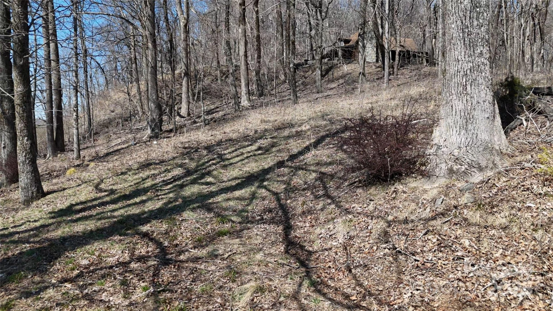 1.1 Acre Blockaders Den Road - Photo 14