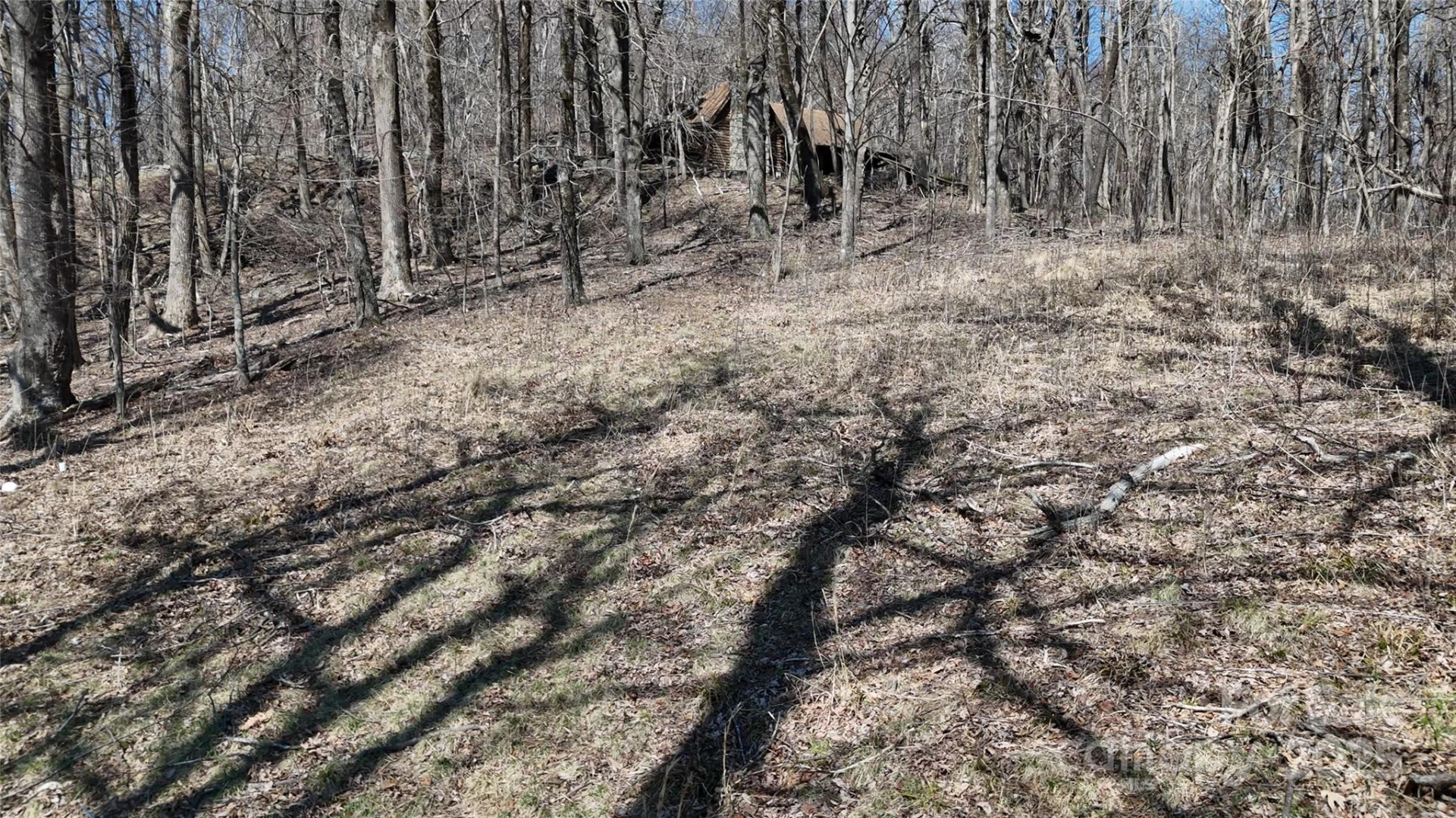 1.1 Acre Blockaders Den Road - Photo 15
