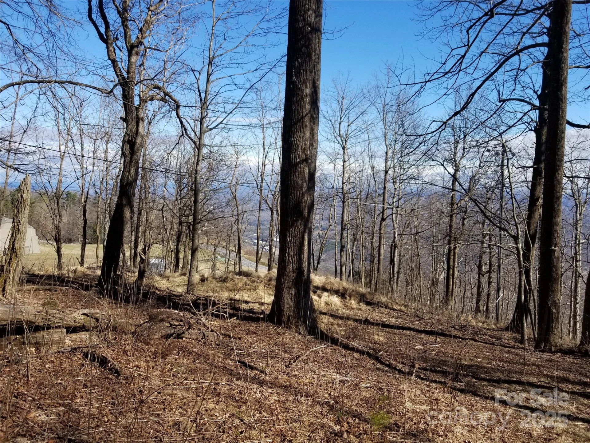 1.1 Acre Blockaders Den Road - Photo 21