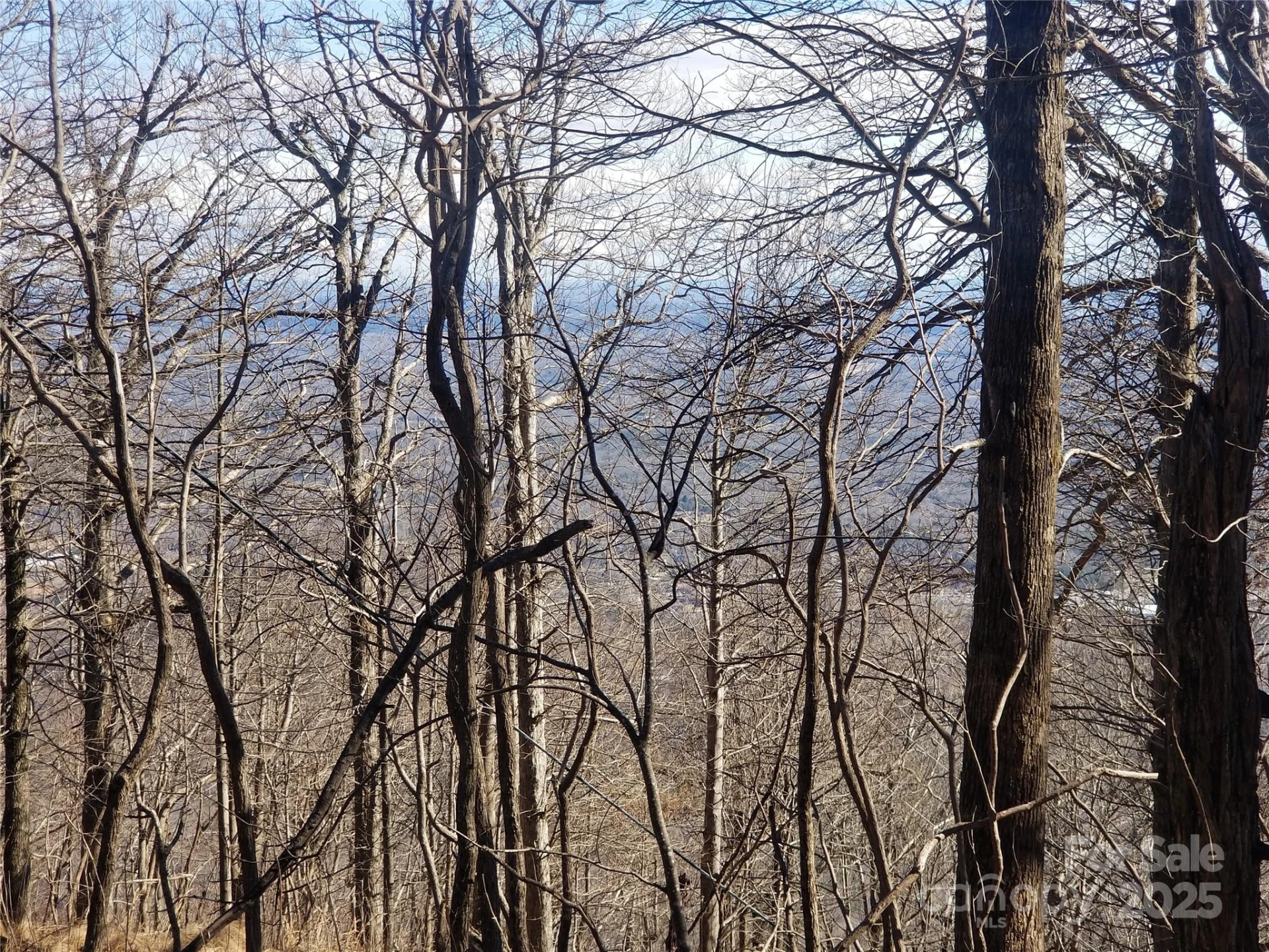 1.1 Acre Blockaders Den Road - Photo 27
