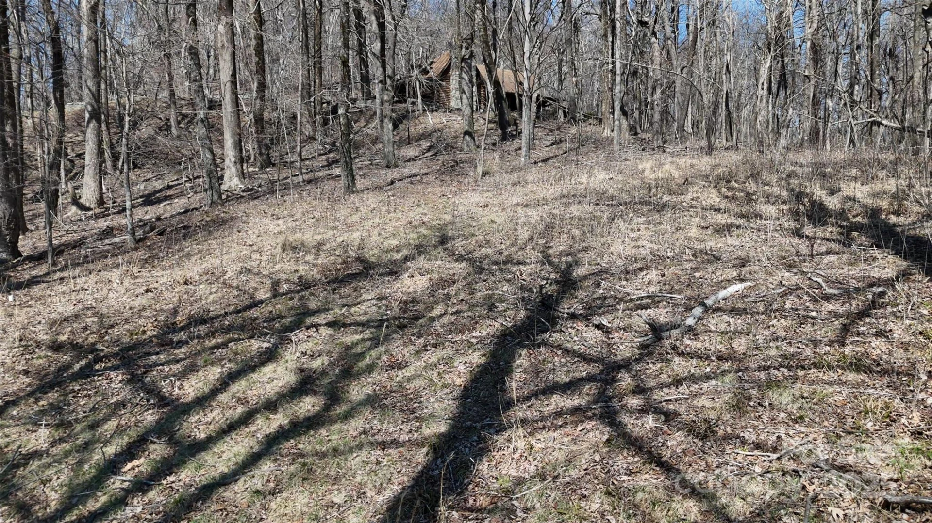 1.1 Acre Blockaders Den Road - Photo 4