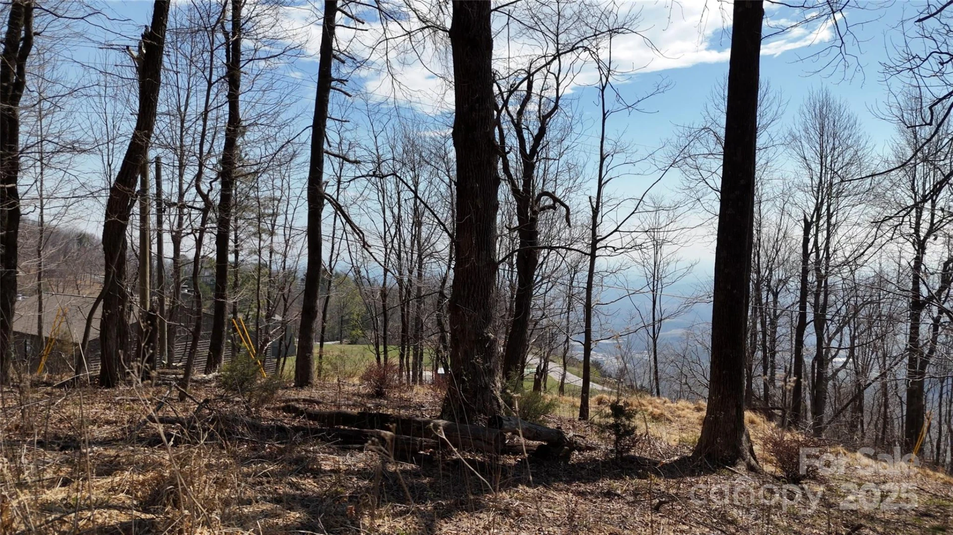 1.1 Acre Blockaders Den Road - Photo 6