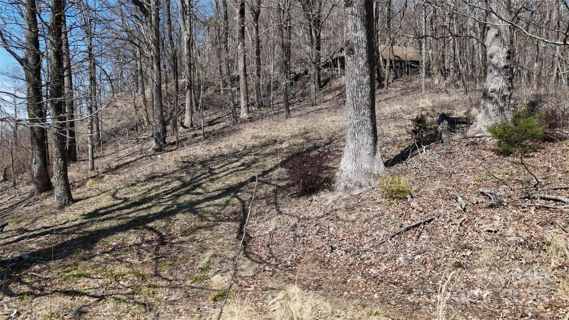 1.1 Acre Blockaders Den Road - Photo 9