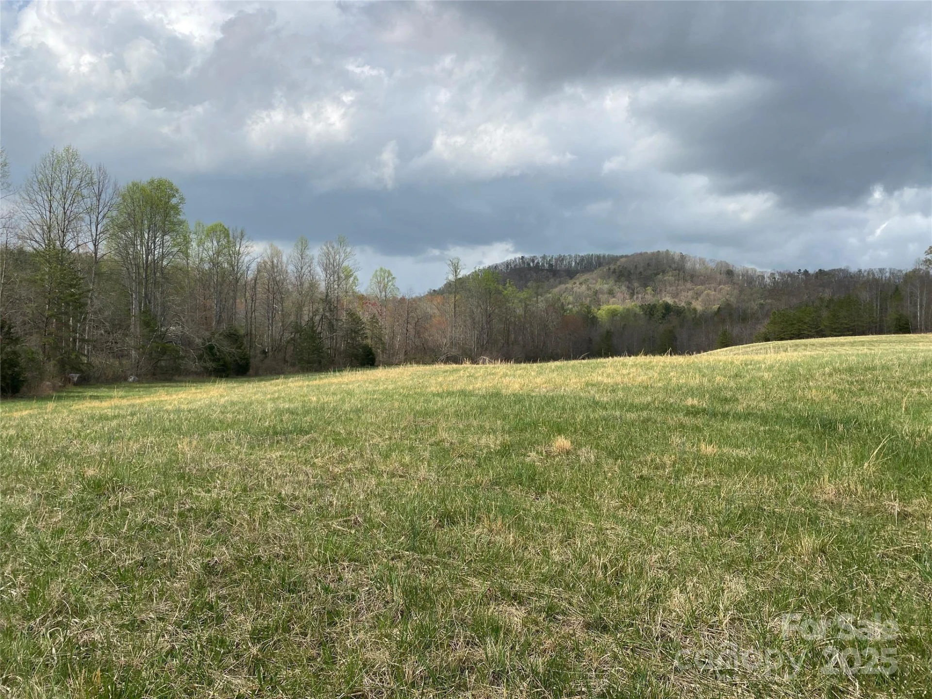 0 Cane Creek Mountain Road - Photo 2