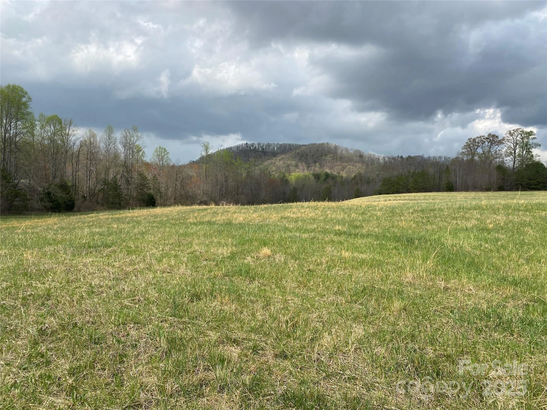 0 Cane Creek Mountain Road - Photo 13