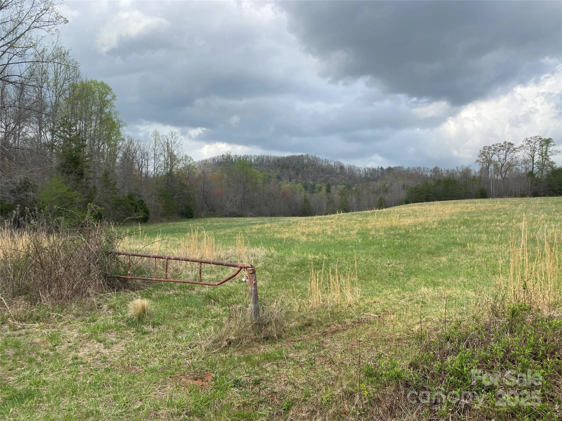0 Cane Creek Mountain Road - Photo 3