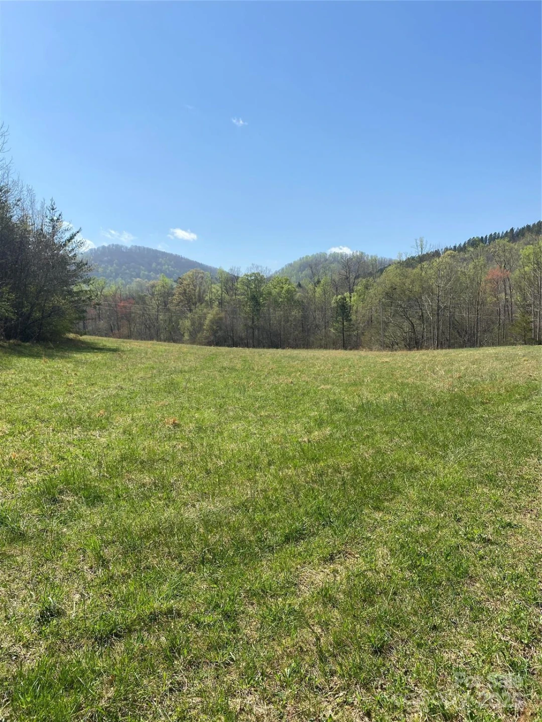 0 Cane Creek Mountain Road - Photo 24