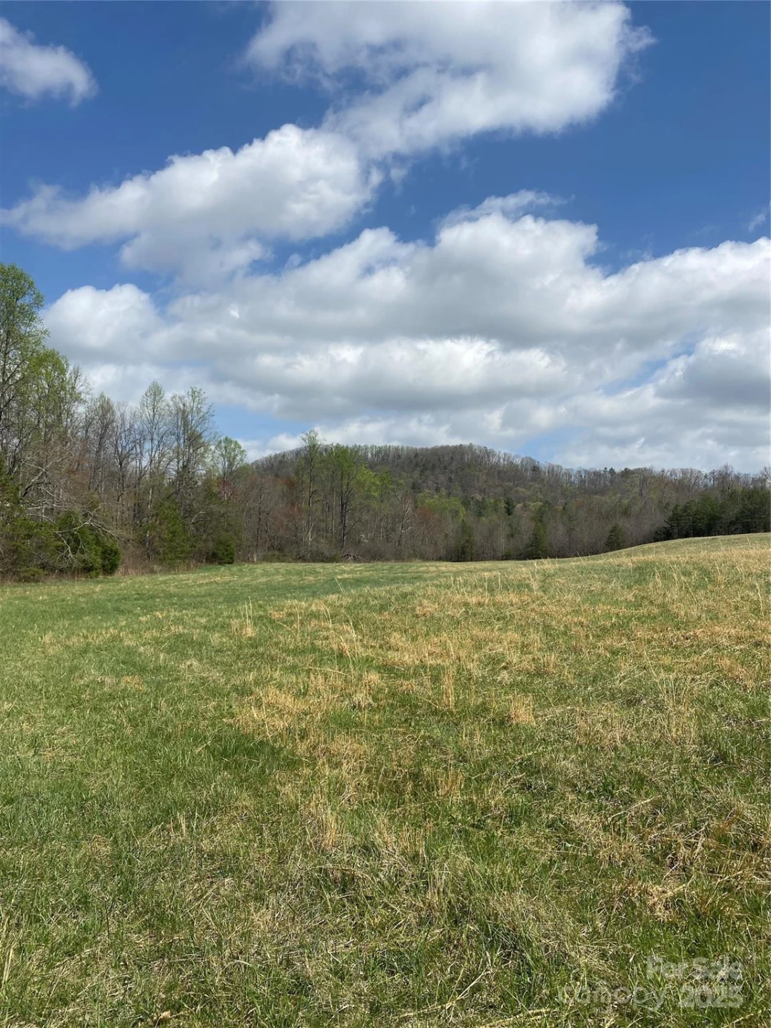 0 Cane Creek Mountain Road - Photo 26