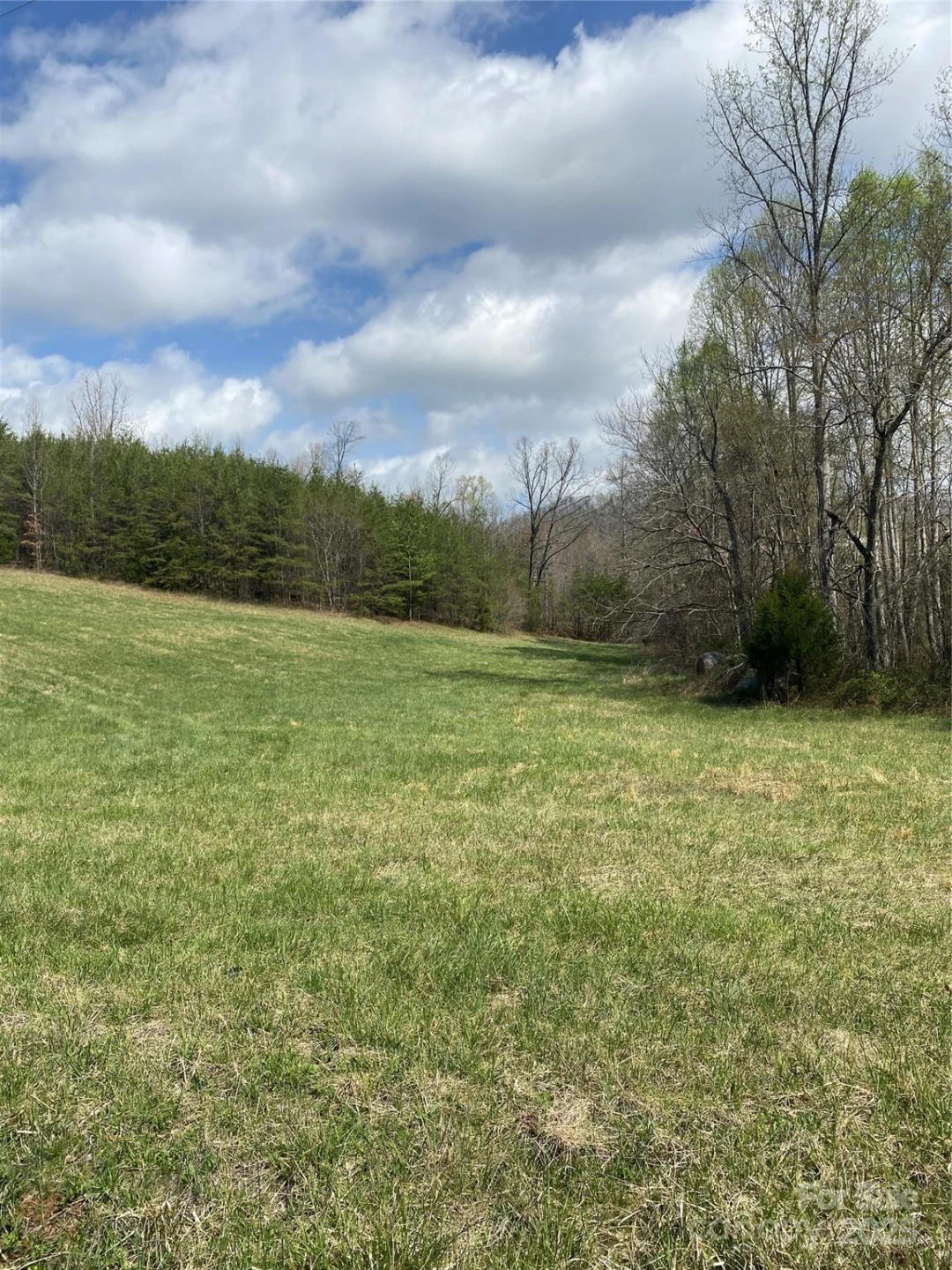 0 Cane Creek Mountain Road - Photo 27
