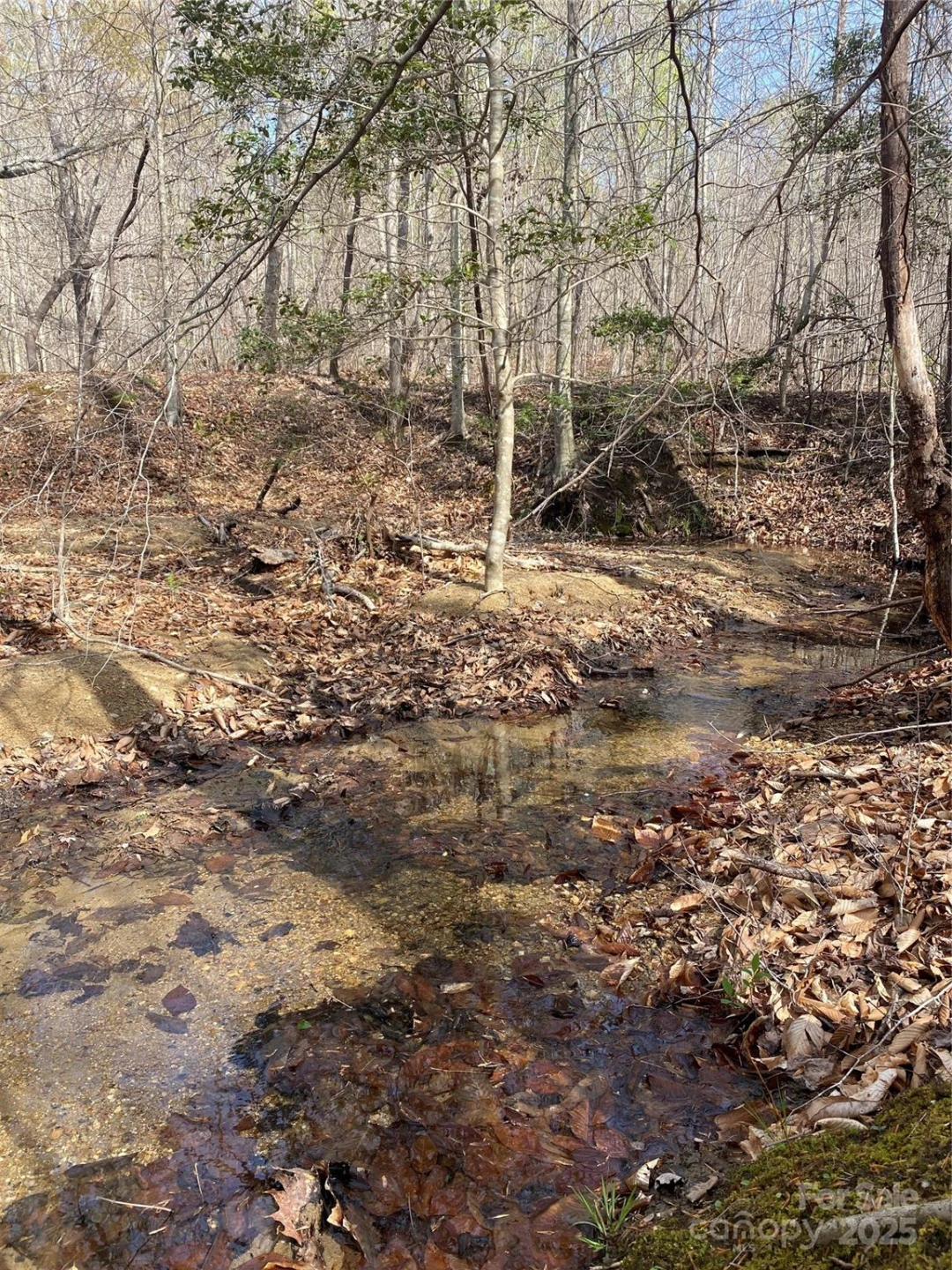 0 Cane Creek Mountain Road - Photo 8
