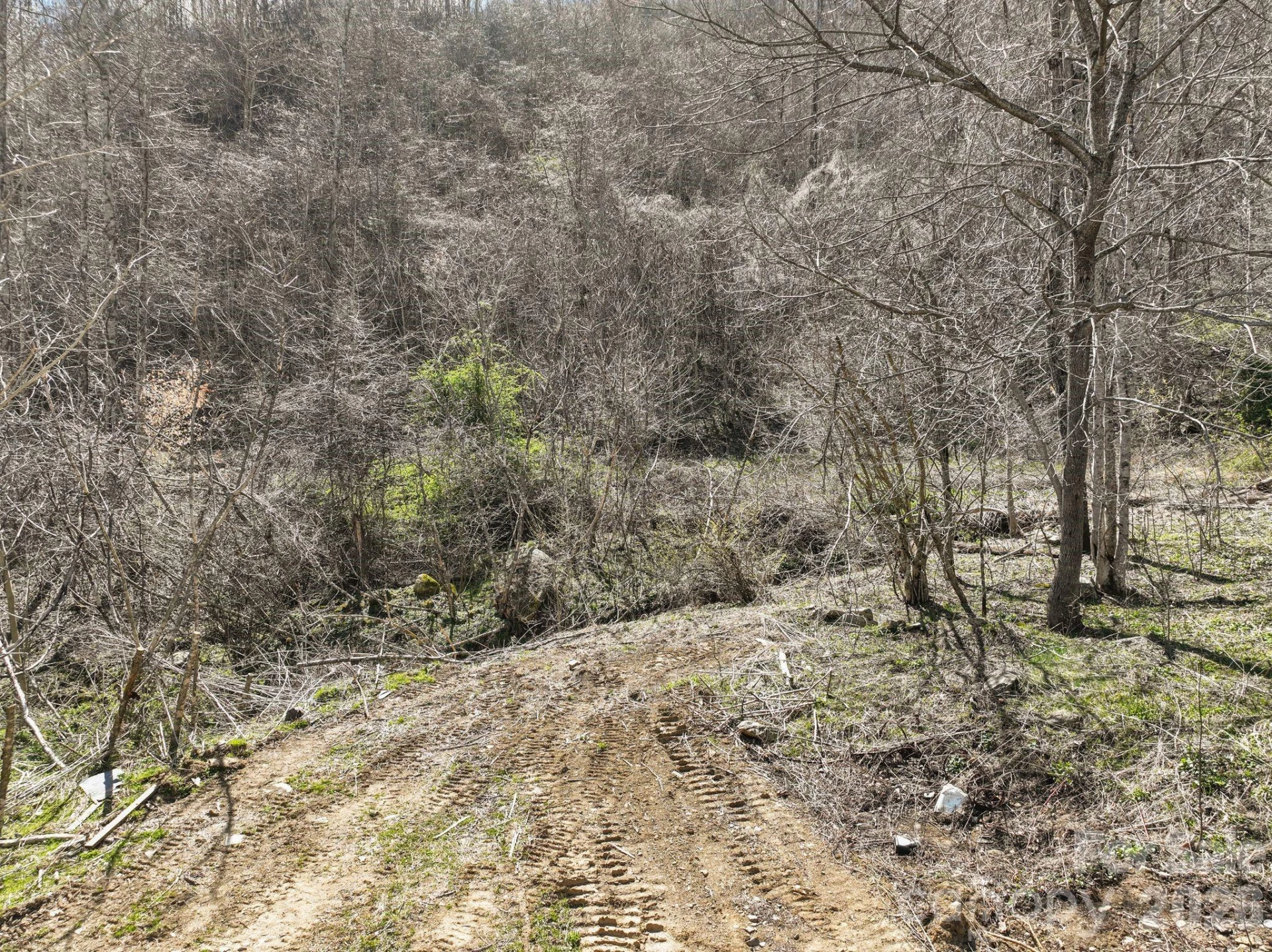 902 Spillcorn Road - Photo 14