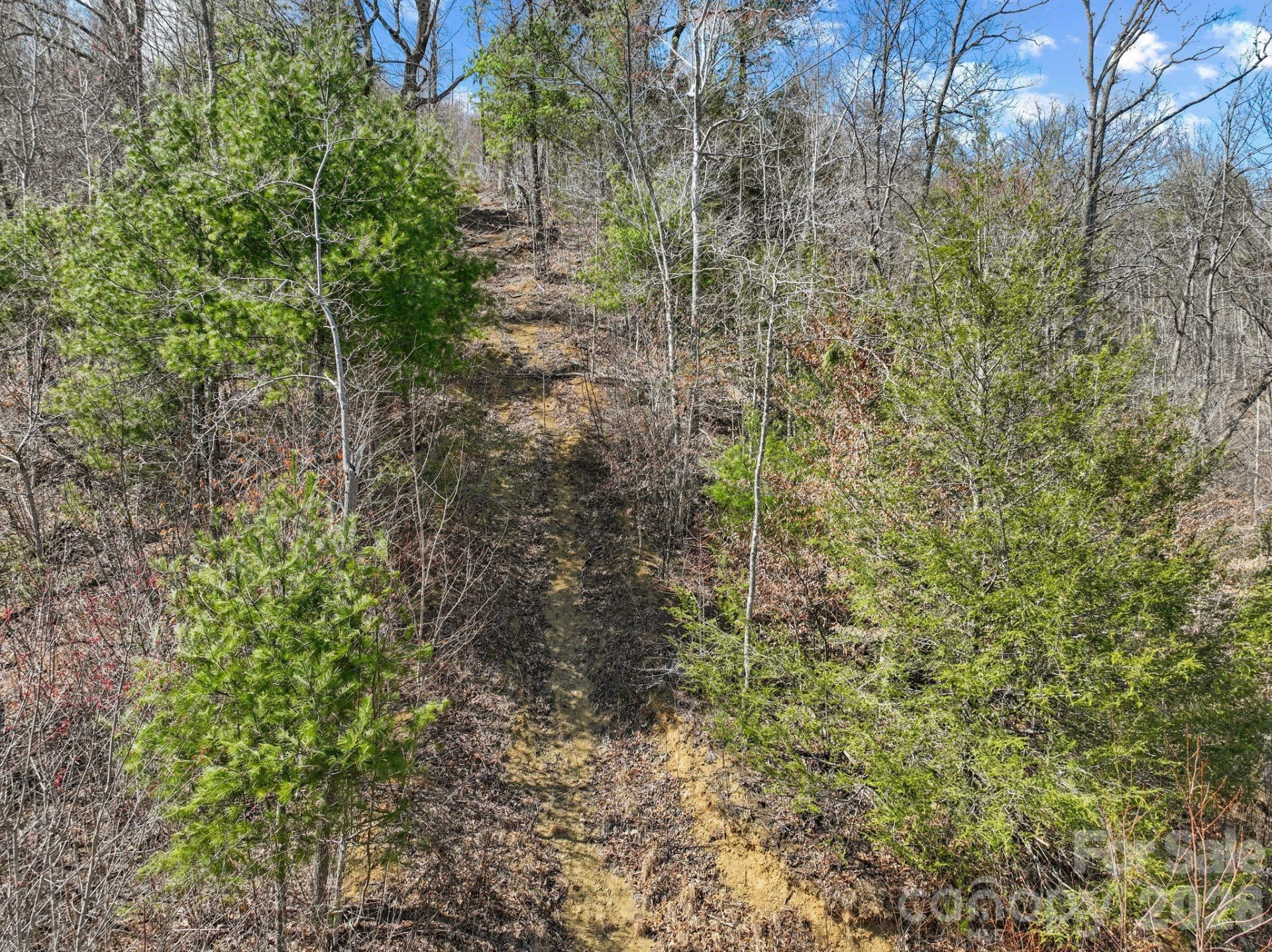 902 Spillcorn Road - Photo 15