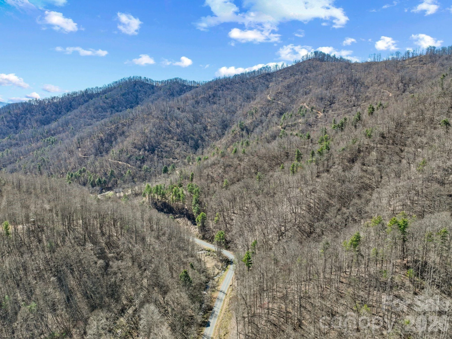 902 Spillcorn Road - Photo 17