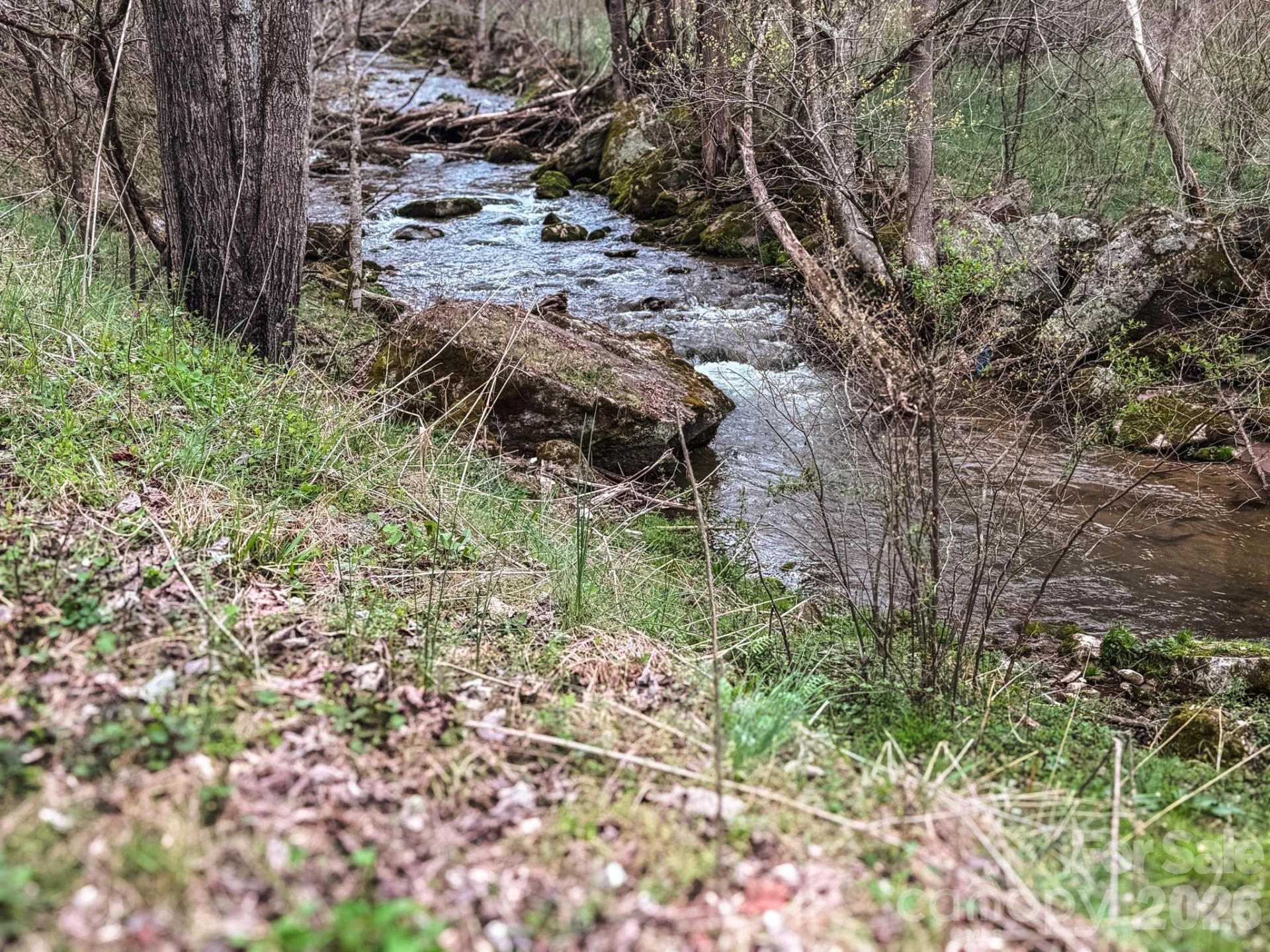 902 Spillcorn Road - Photo 7