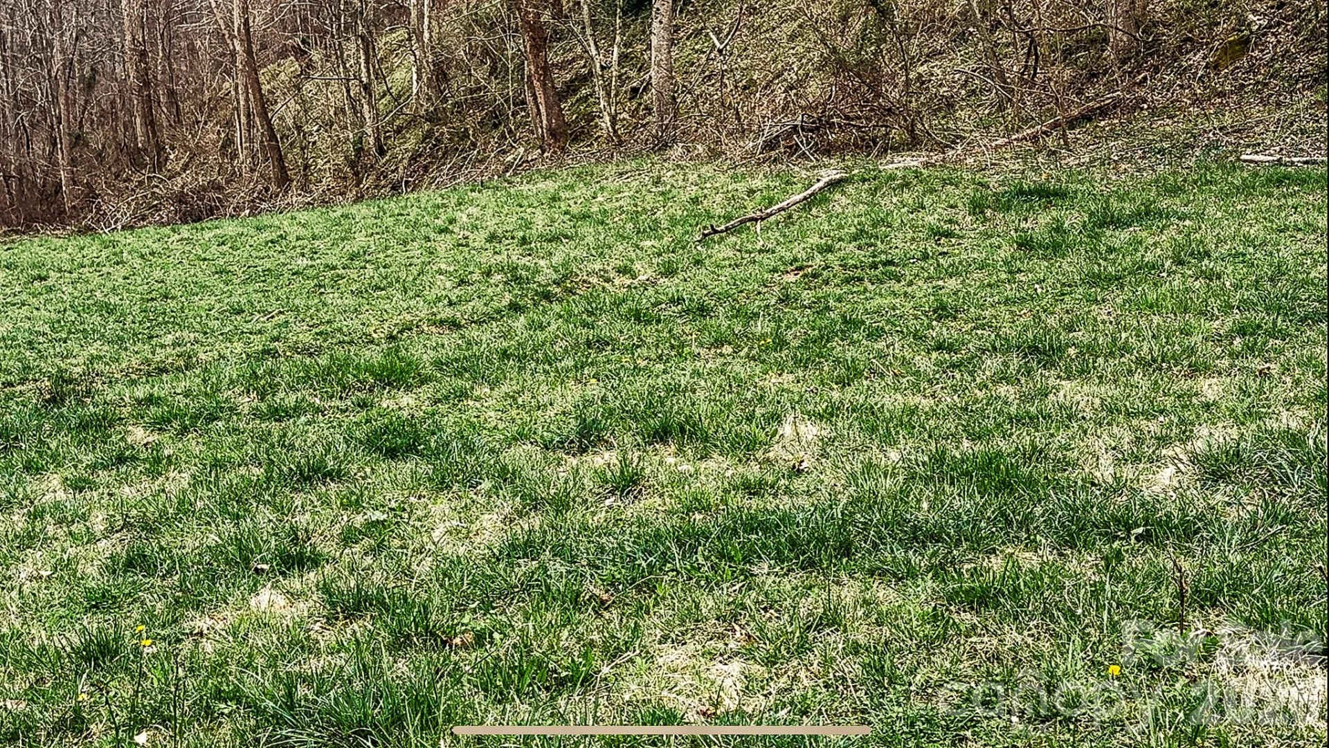 902 Spillcorn Road - Photo 8