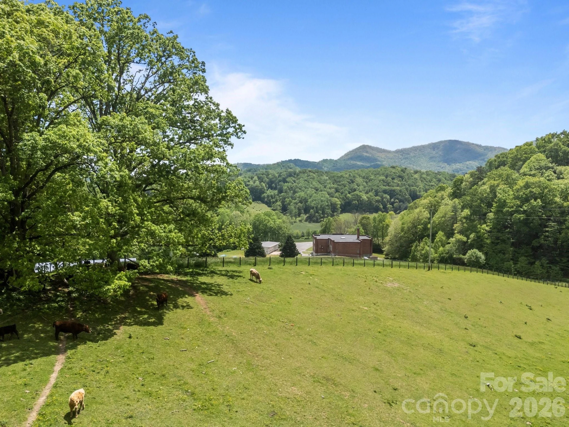 411 Big Sandy Mush Road - Photo 16