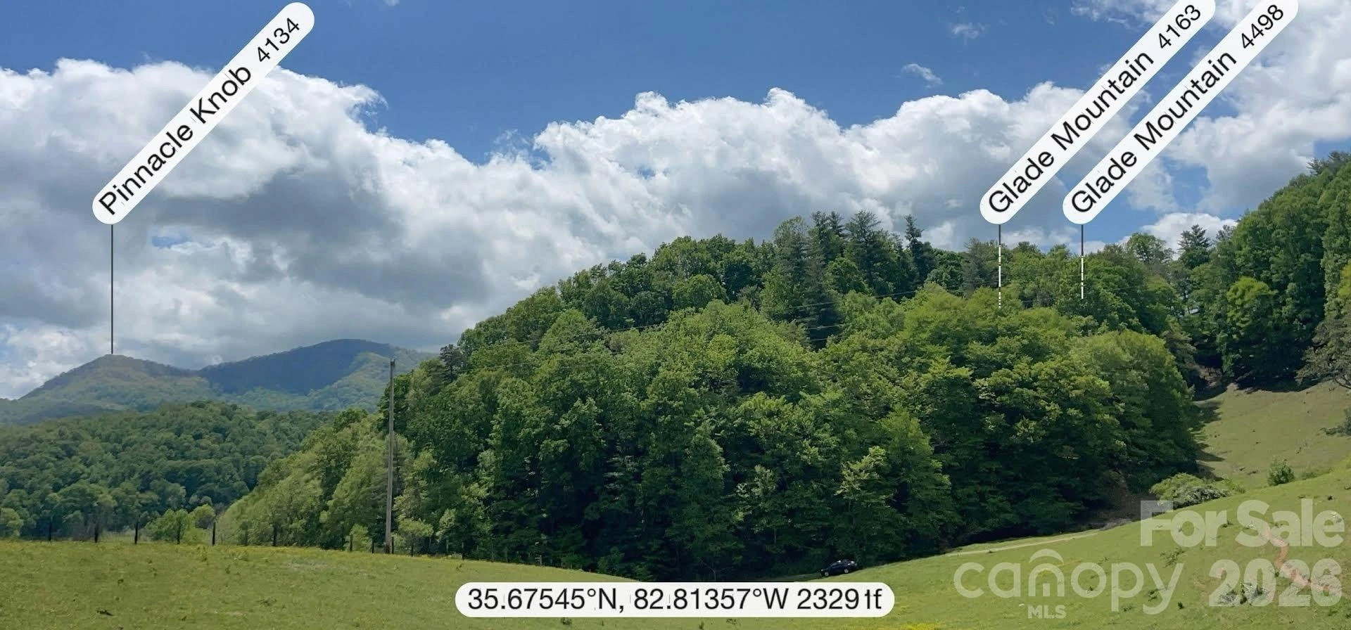 411 Big Sandy Mush Road - Photo 18