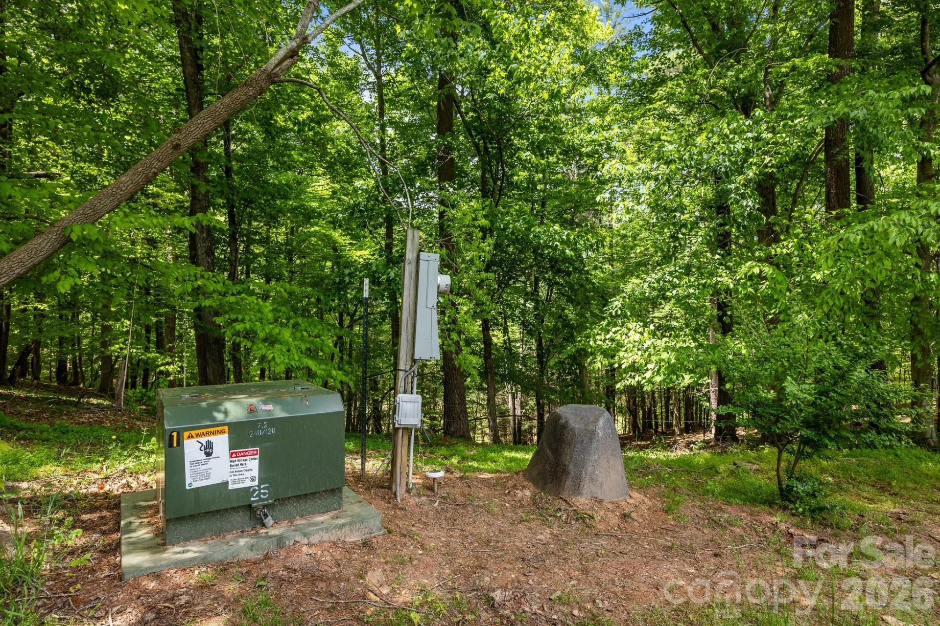 411 Big Sandy Mush Road - Photo 7