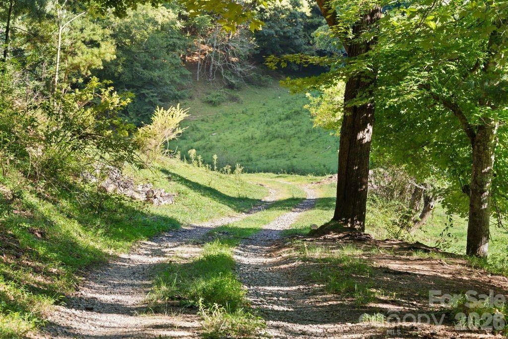 411 Big Sandy Mush Road - Photo 22