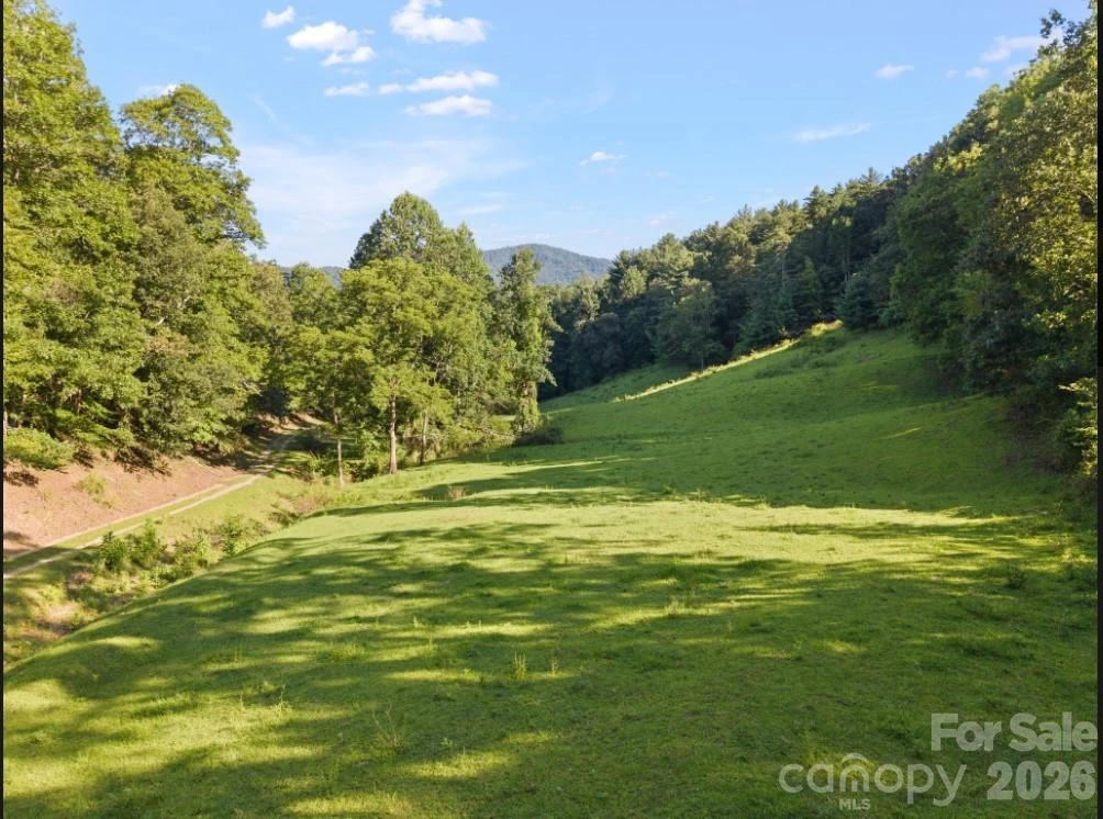 411 Big Sandy Mush Road - Photo 24