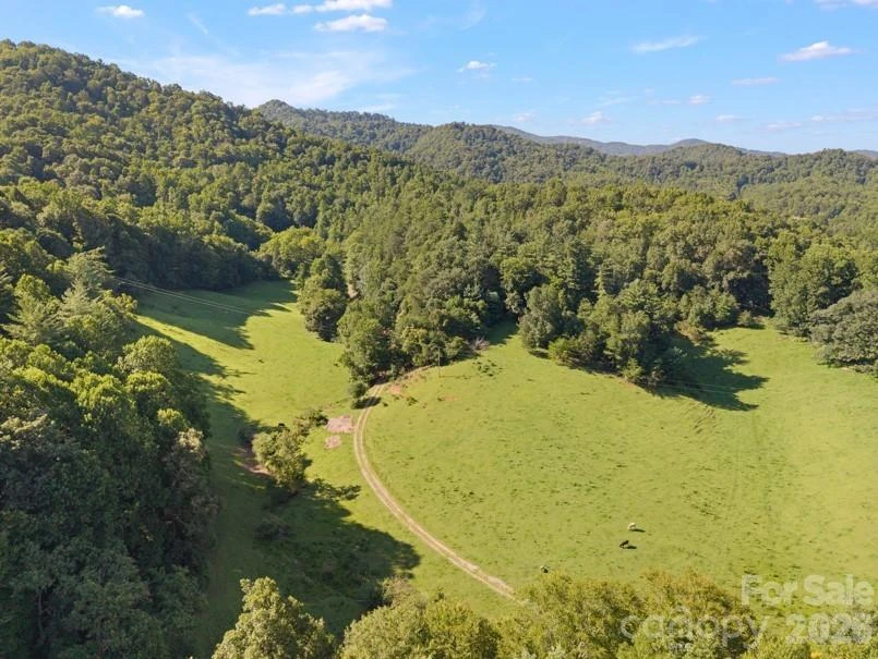 411 Big Sandy Mush Road - Photo 25