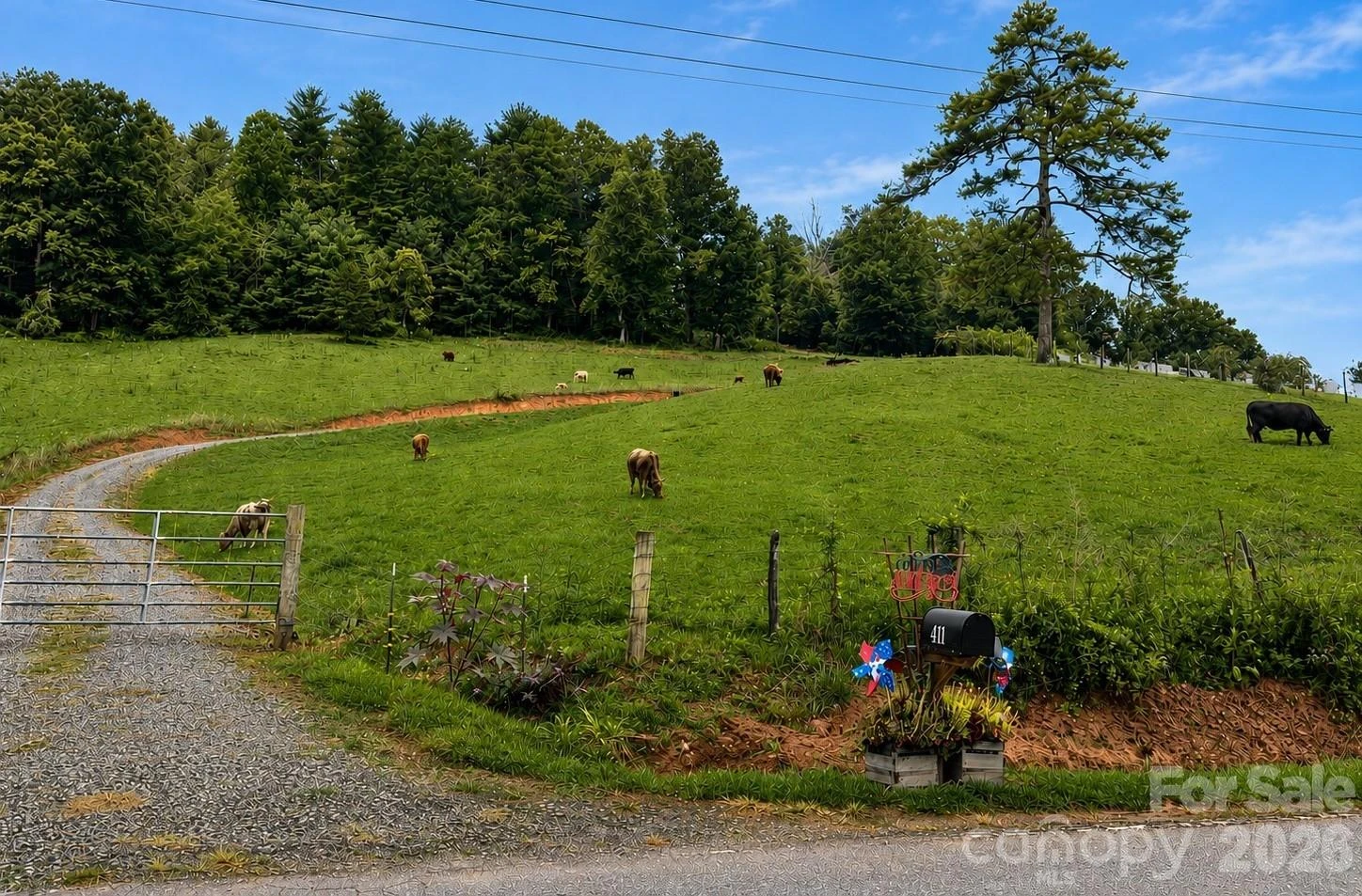 411 Big Sandy Mush Road - Photo 8