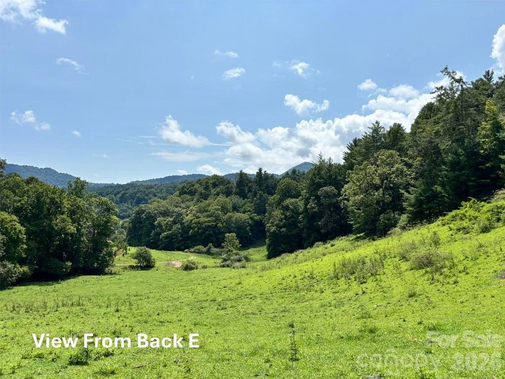 411 Big Sandy Mush Road - Photo 26