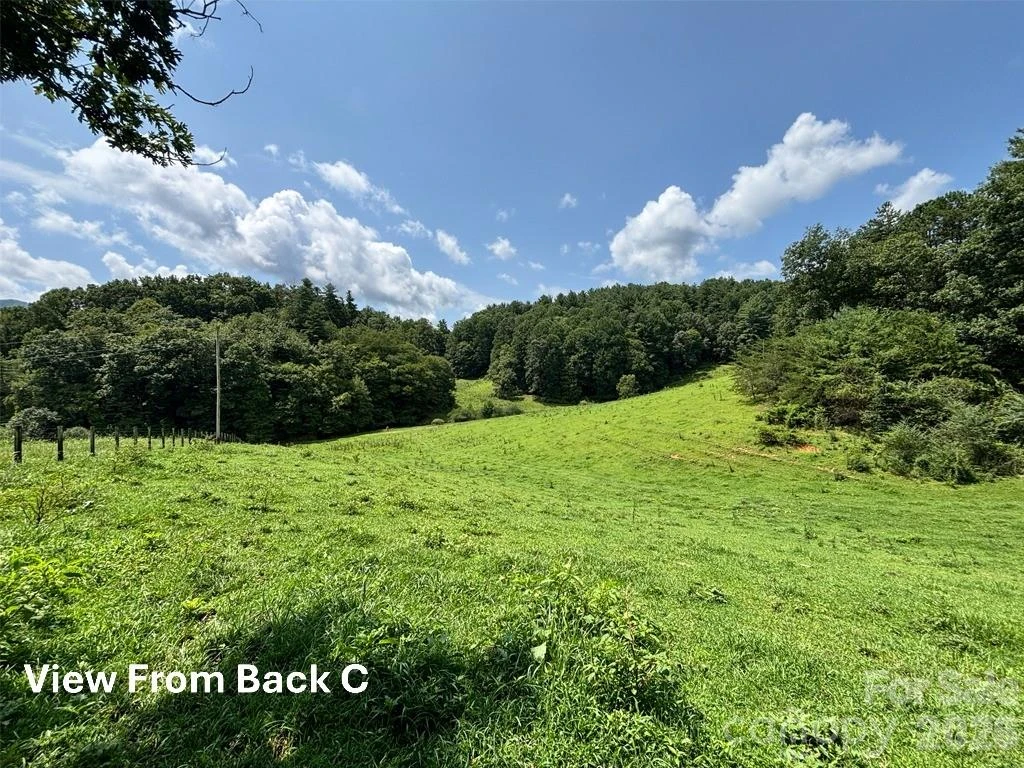411 Big Sandy Mush Road - Photo 27
