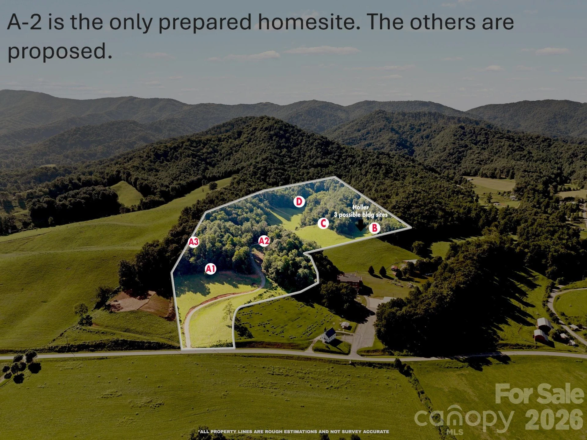 411 Big Sandy Mush Road - Photo 3