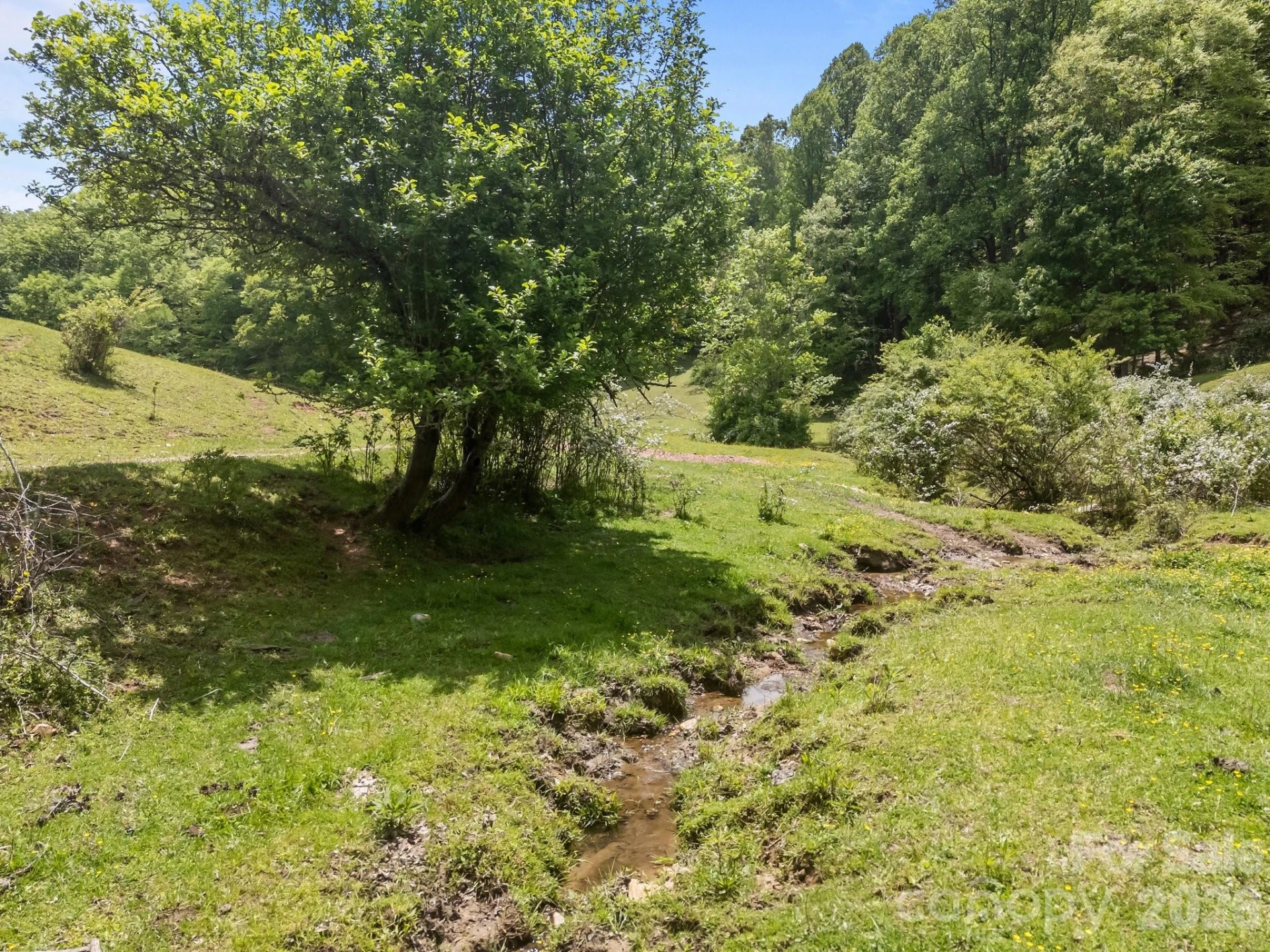 411 Big Sandy Mush Road - Photo 10
