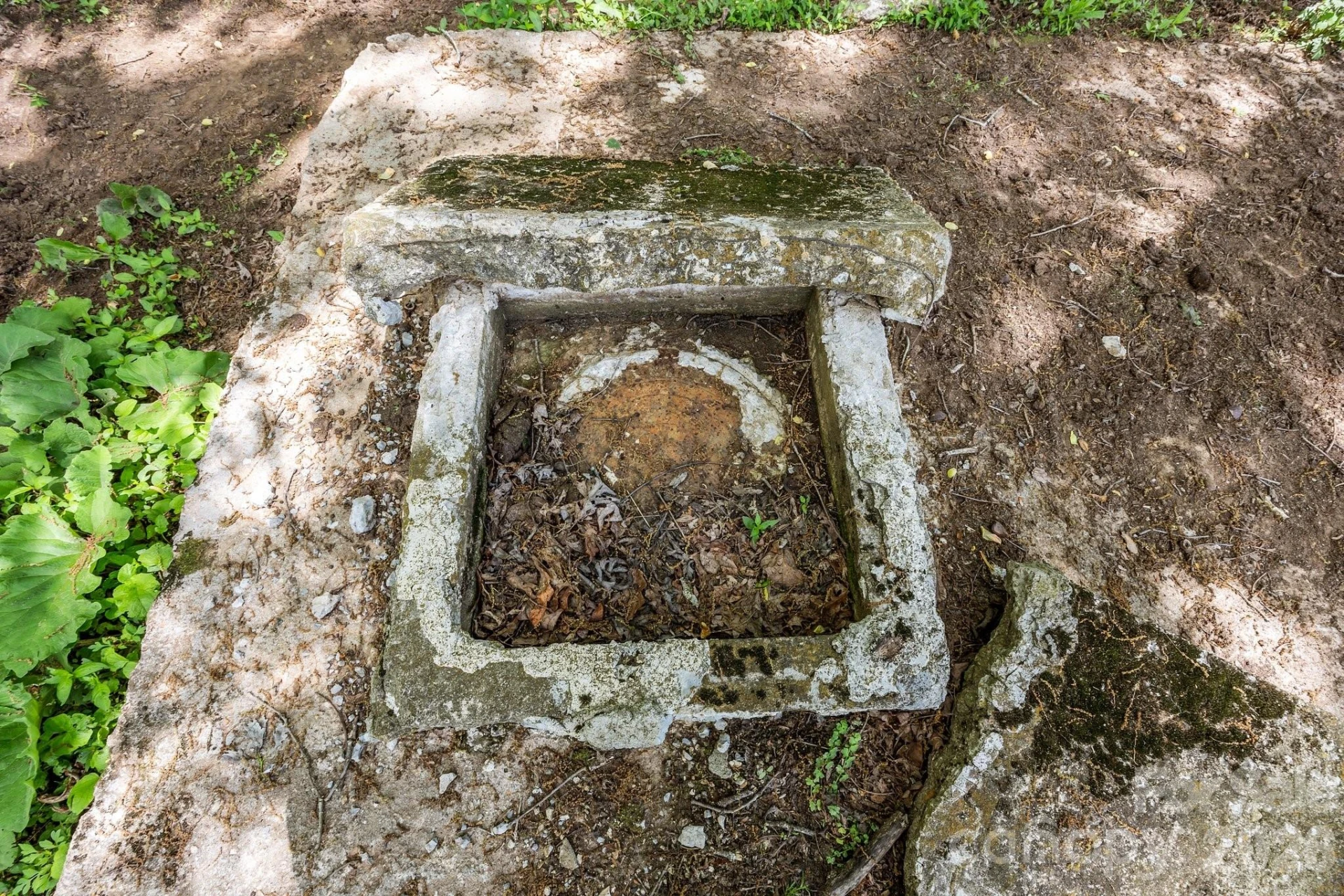 411 Big Sandy Mush Road - Photo 14