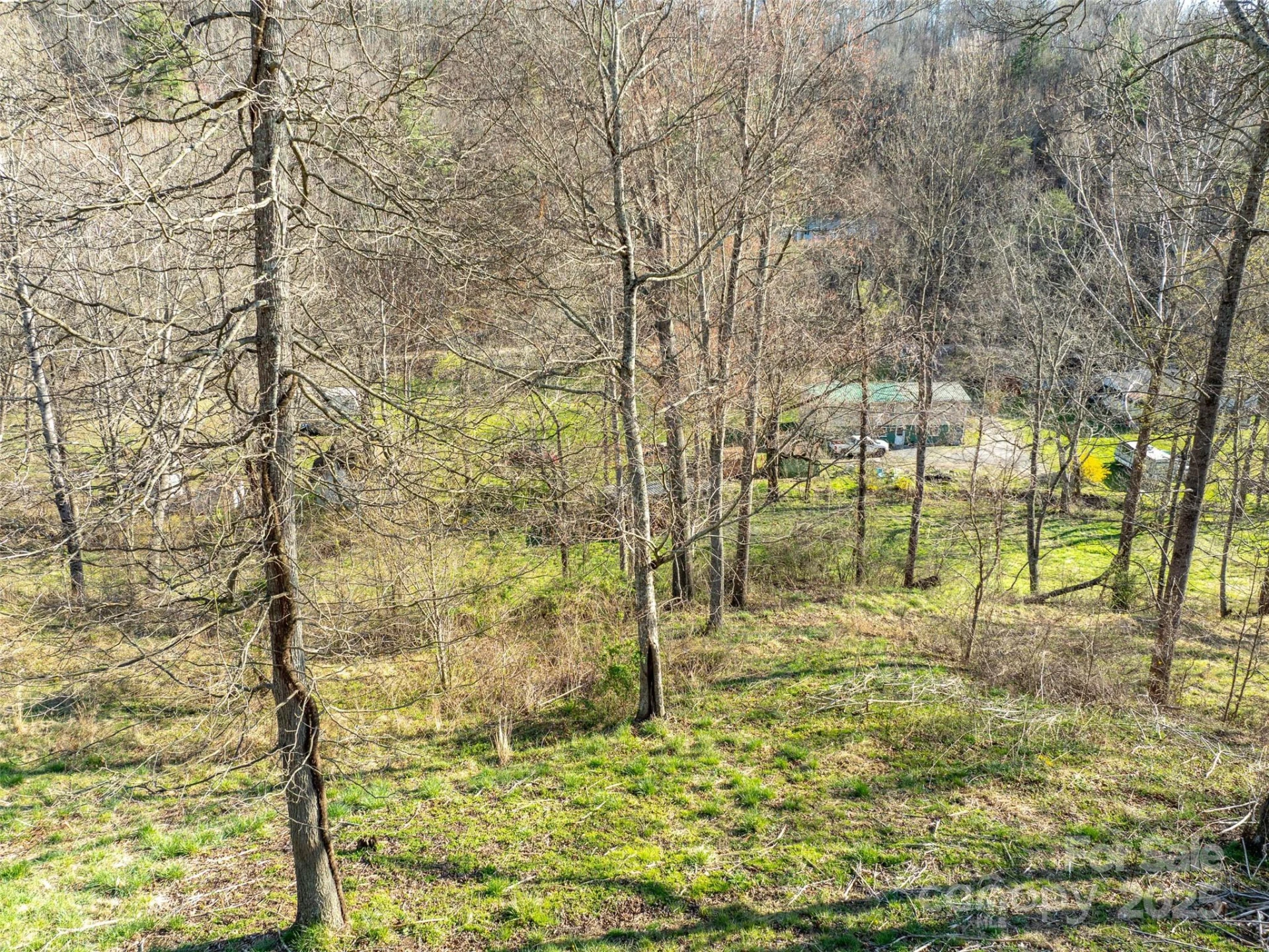 37 Wild Rock Court - Photo 11