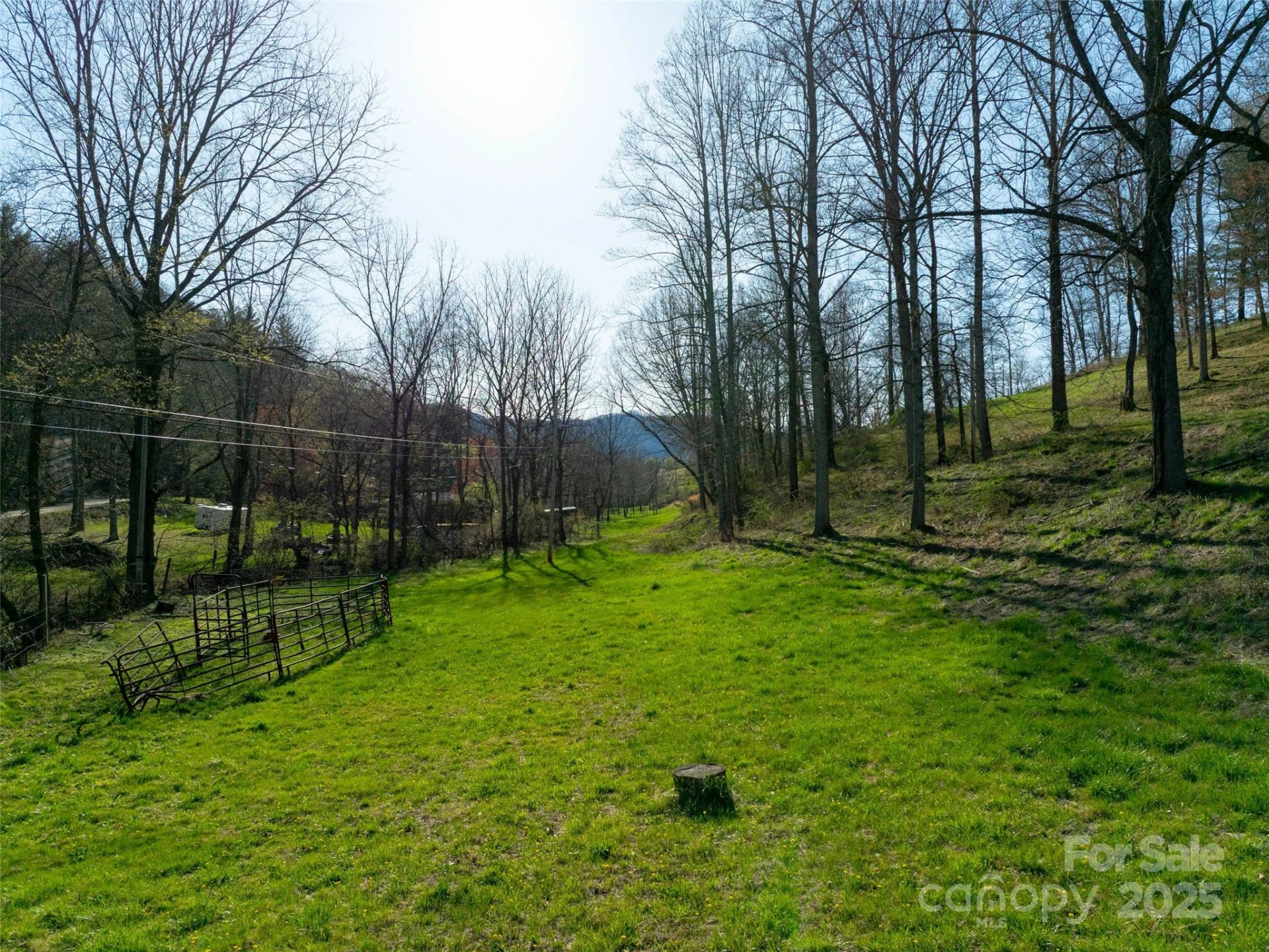 37 Wild Rock Court - Photo 3