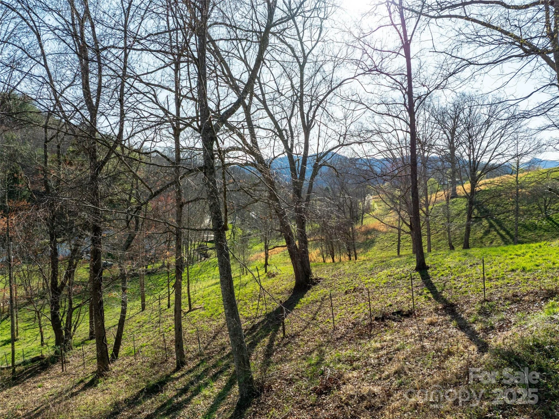 37 Wild Rock Court - Photo 9