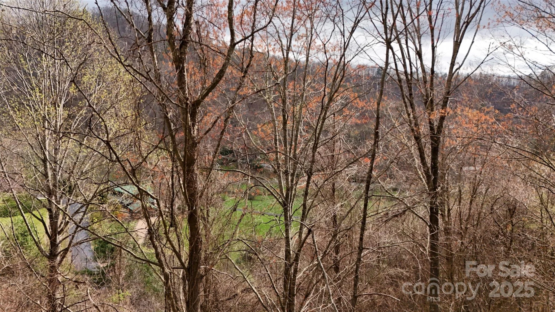 380 Serenity Mountain Lane - Photo 6