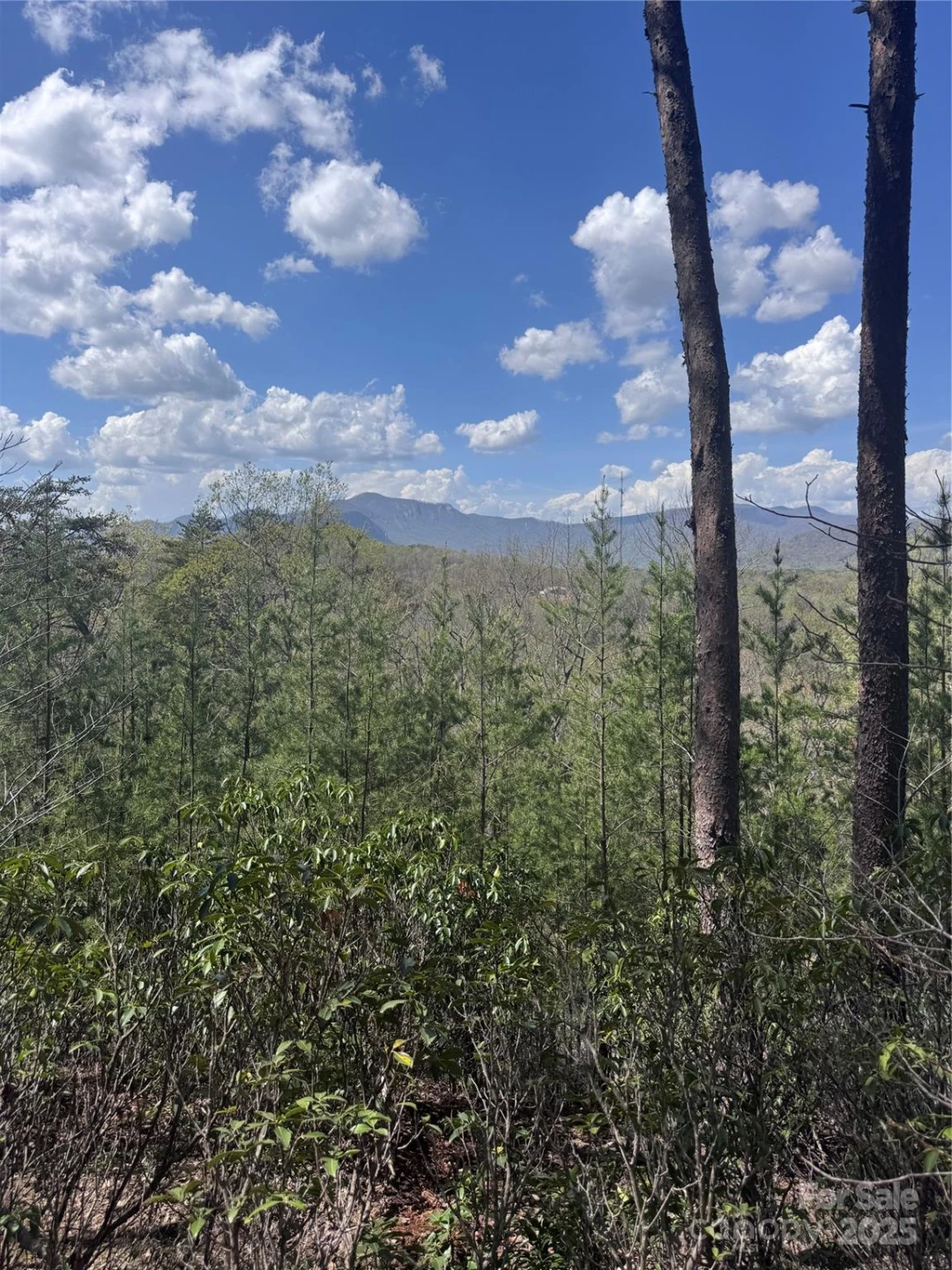 0 High Pines Loop #162