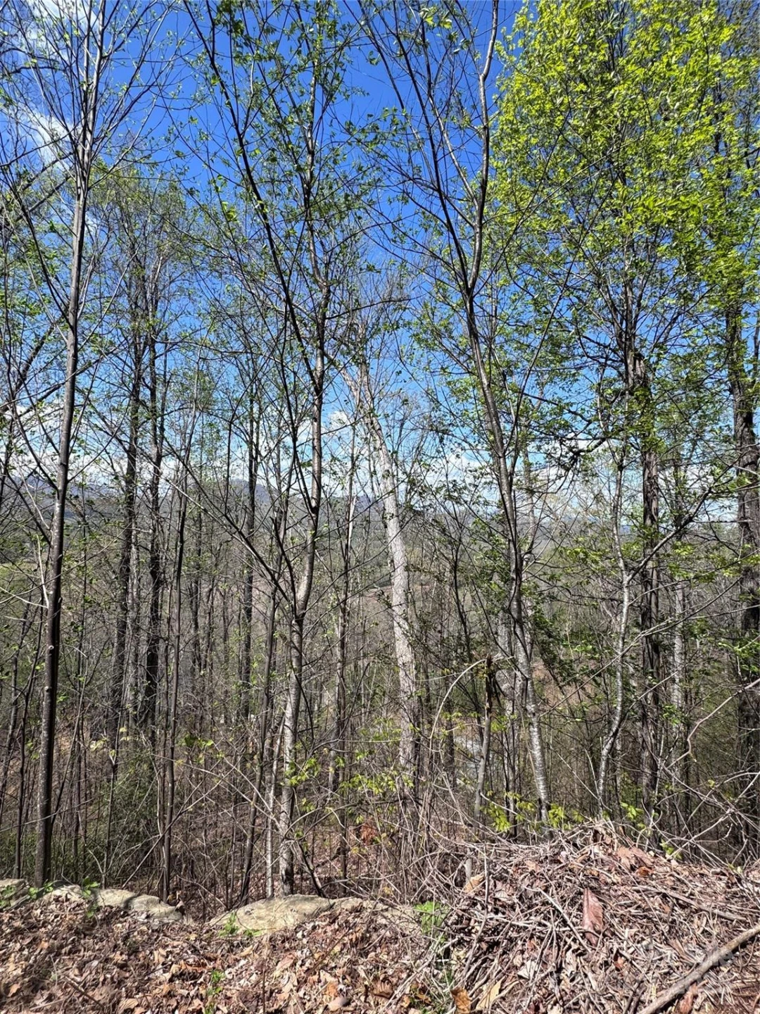 0 High Pines Loop #162 - Photo 2