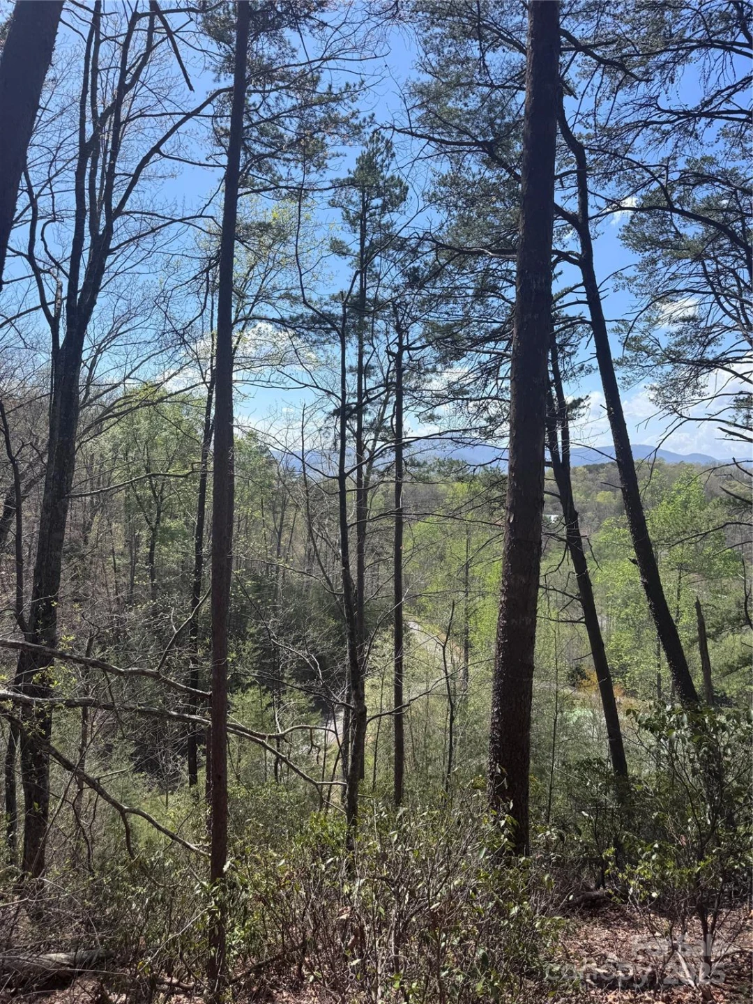 0 High Pines Loop #162 - Photo 12