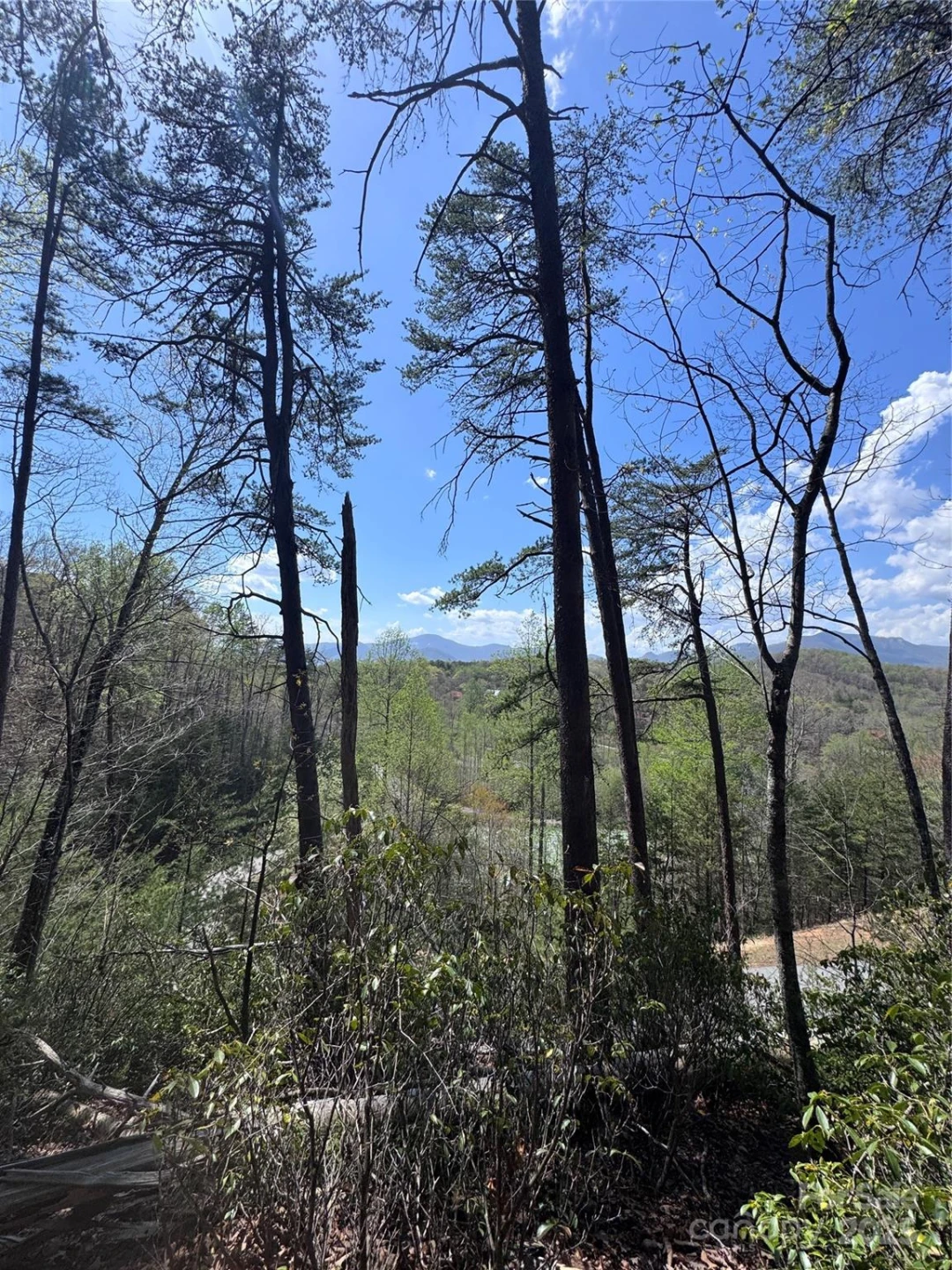 0 High Pines Loop #162 - Photo 14