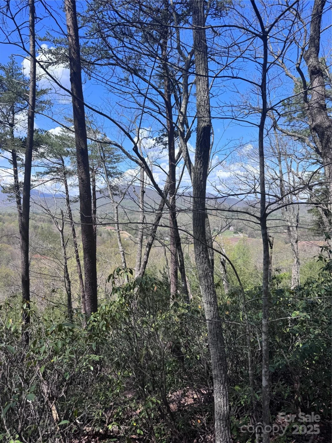 0 High Pines Loop #162 - Photo 4