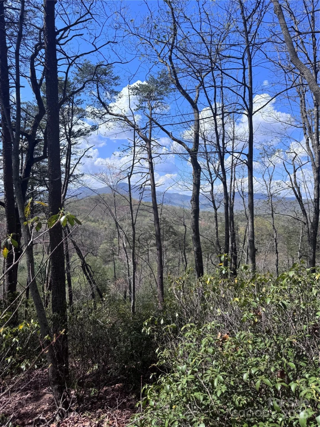 0 High Pines Loop #162 - Photo 7