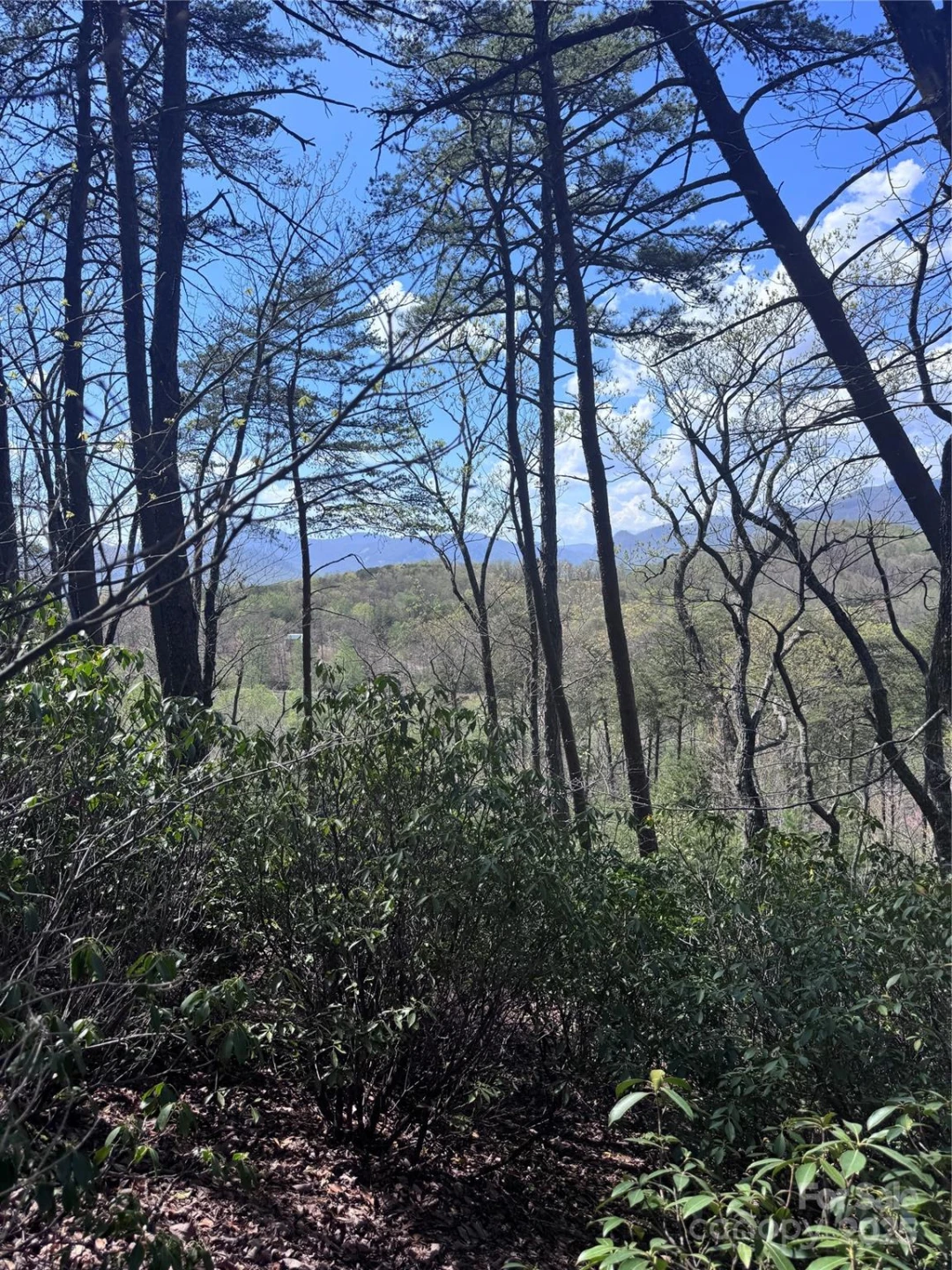 0 High Pines Loop #162 - Photo 10